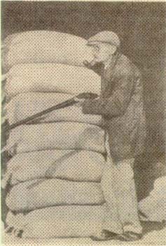 Старик из Гроверс-Милл, приготовившийся отразить нападение марсианских «агрессоров» (снимок 1938 г.)